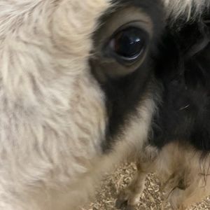 Meet your Posher, Jackie